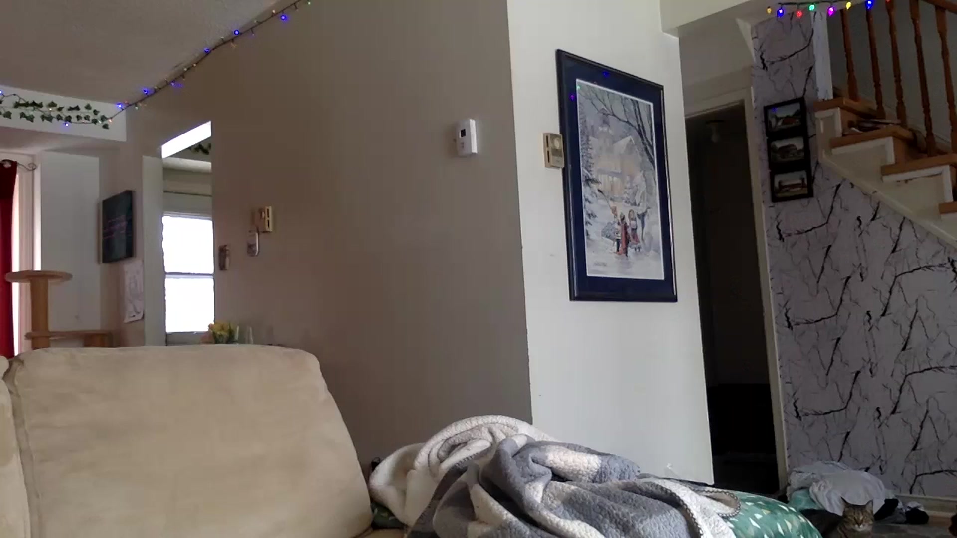 Gallery image thumbnail from DaniiAngel's myfreecams stream on, 02/19/2024, 20:12 image 5 of 20