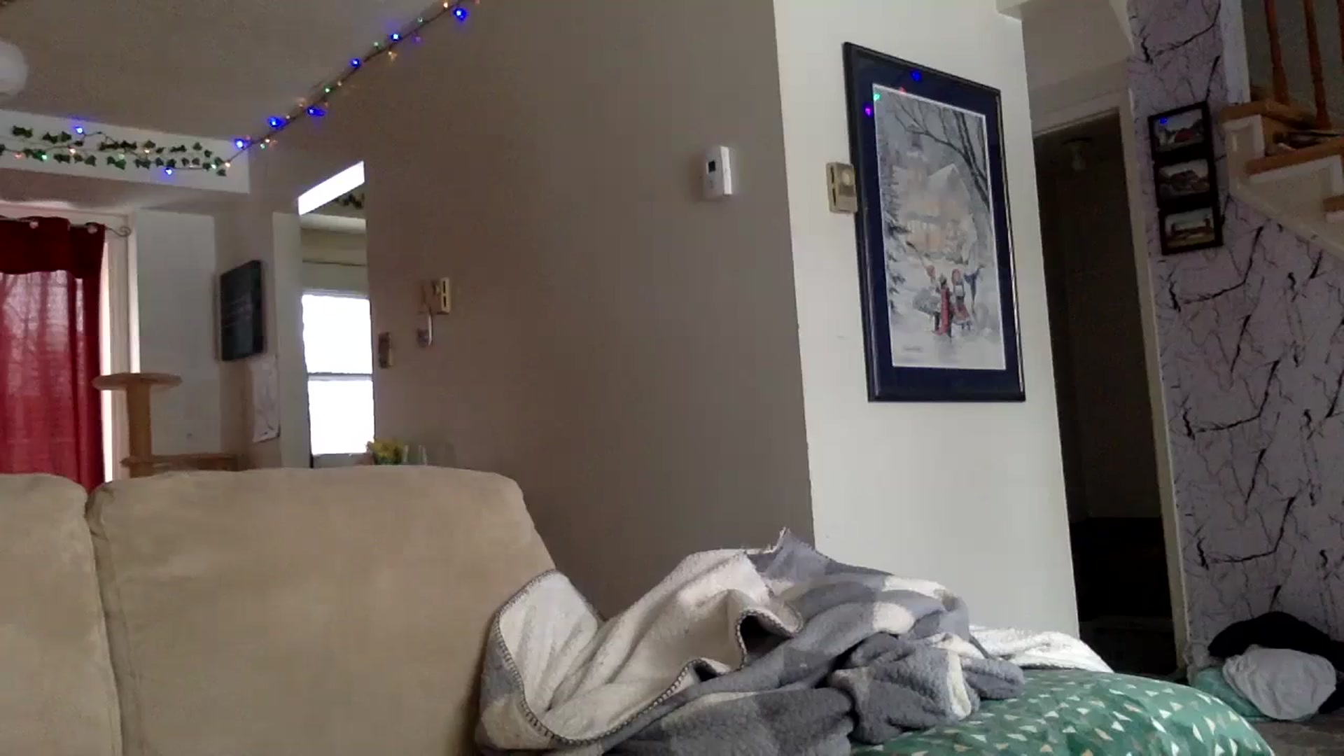 Gallery image thumbnail from DaniiAngel's myfreecams stream on, 02/19/2024, 21:50 image 16 of 20