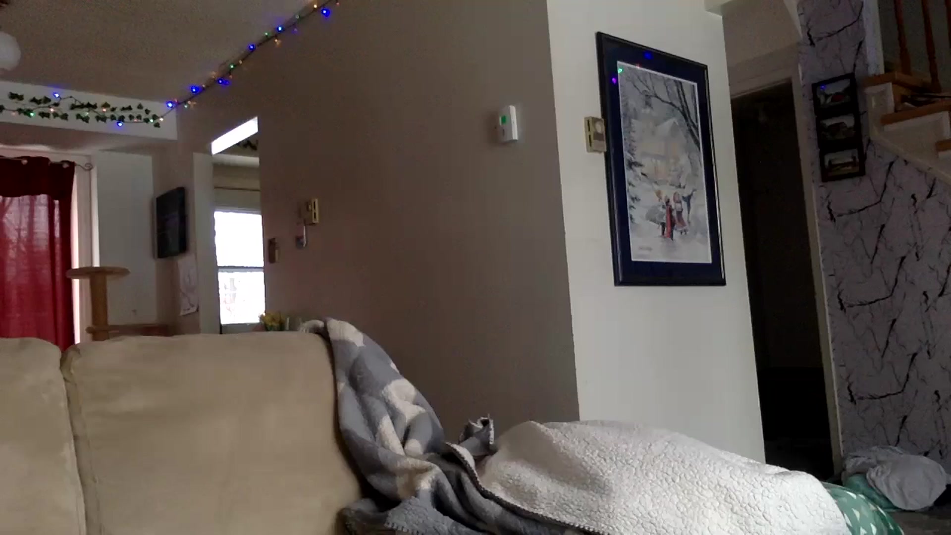 Gallery image thumbnail from DaniiAngel's myfreecams stream on, 02/19/2024, 21:50 image 12 of 20