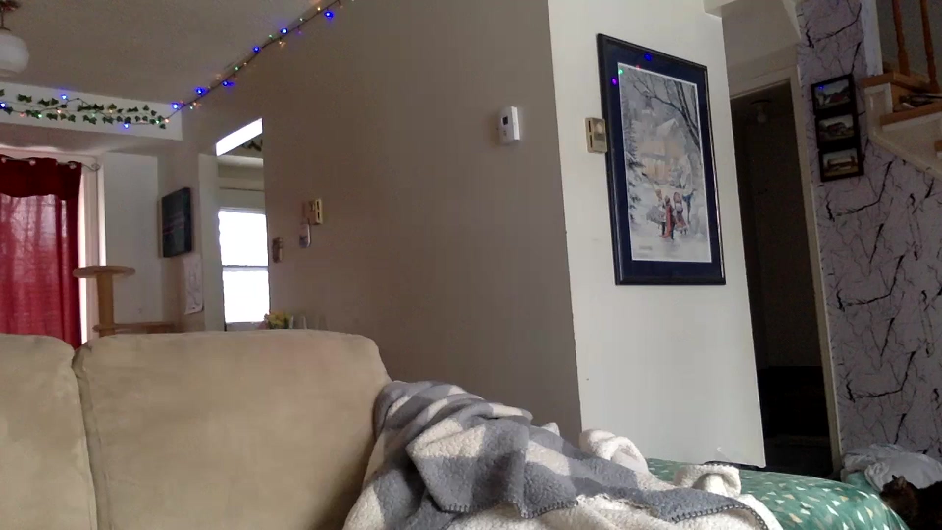 Gallery image thumbnail from DaniiAngel's myfreecams stream on, 02/19/2024, 21:50 image 3 of 20