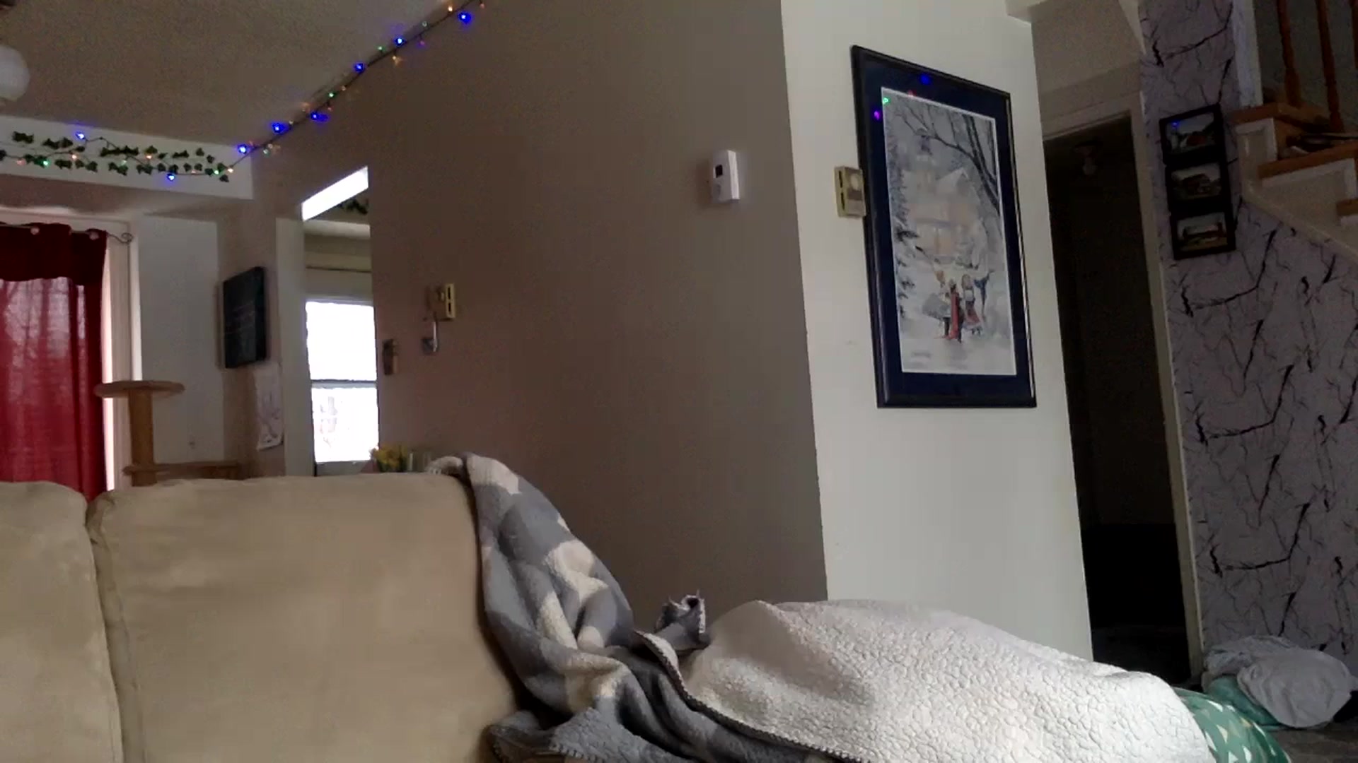 Gallery image thumbnail from DaniiAngel's myfreecams stream on, 02/19/2024, 21:50 image 11 of 20