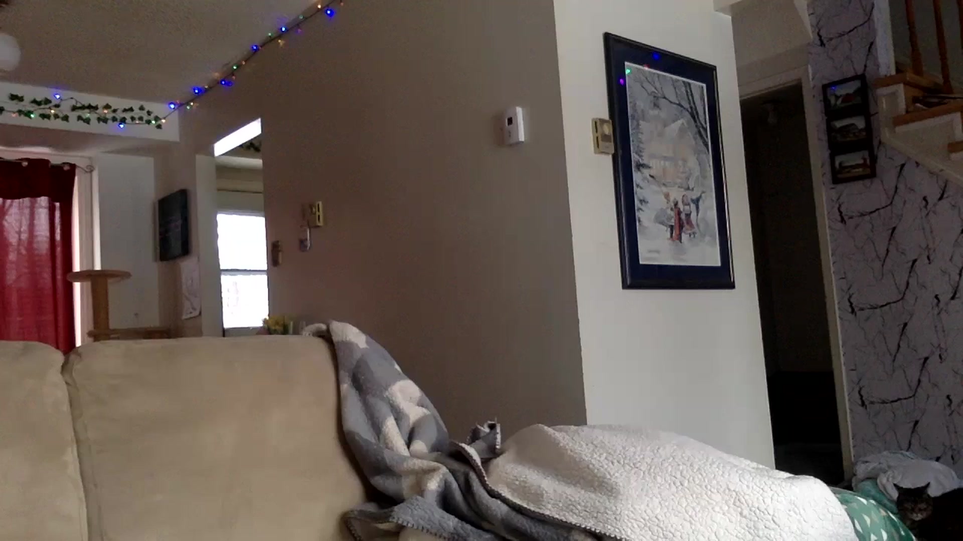 Gallery image thumbnail from DaniiAngel's myfreecams stream on, 02/19/2024, 21:50 image 9 of 20