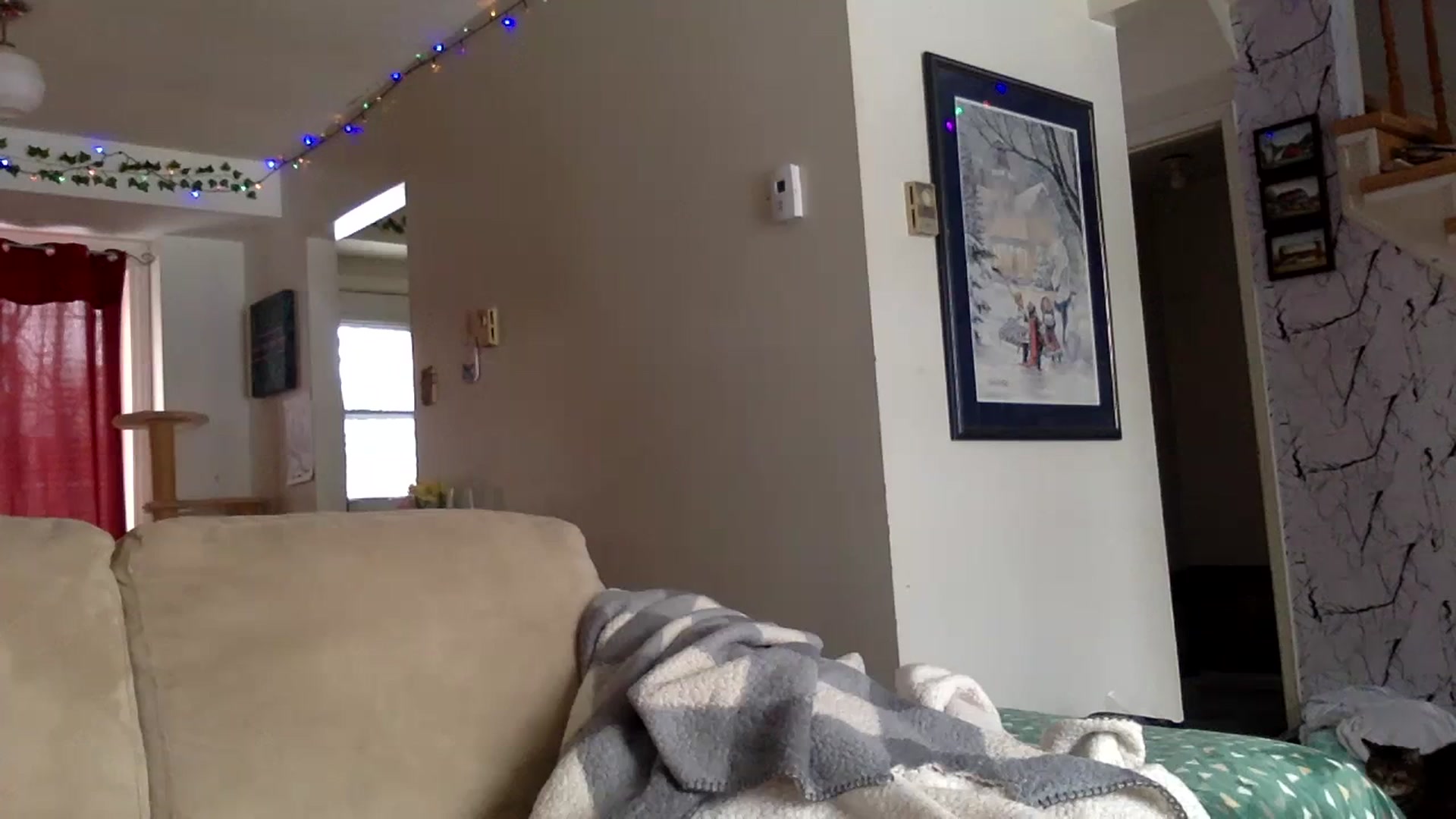 Gallery image thumbnail from DaniiAngel's myfreecams stream on, 02/19/2024, 21:50 image 2 of 20