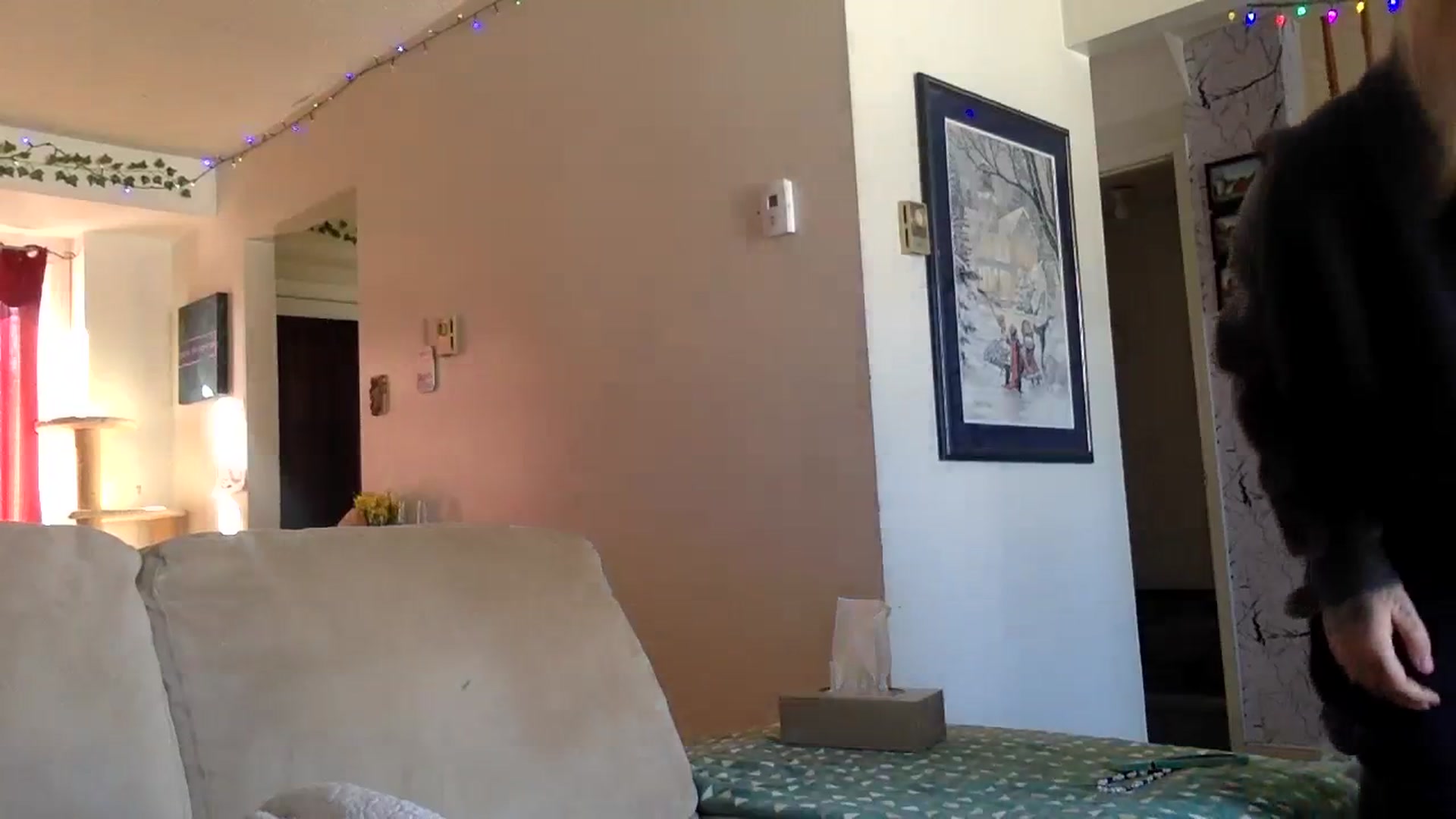 Gallery image thumbnail from DaniiAngel's myfreecams stream on, 02/20/2024, 20:24 image 17 of 20