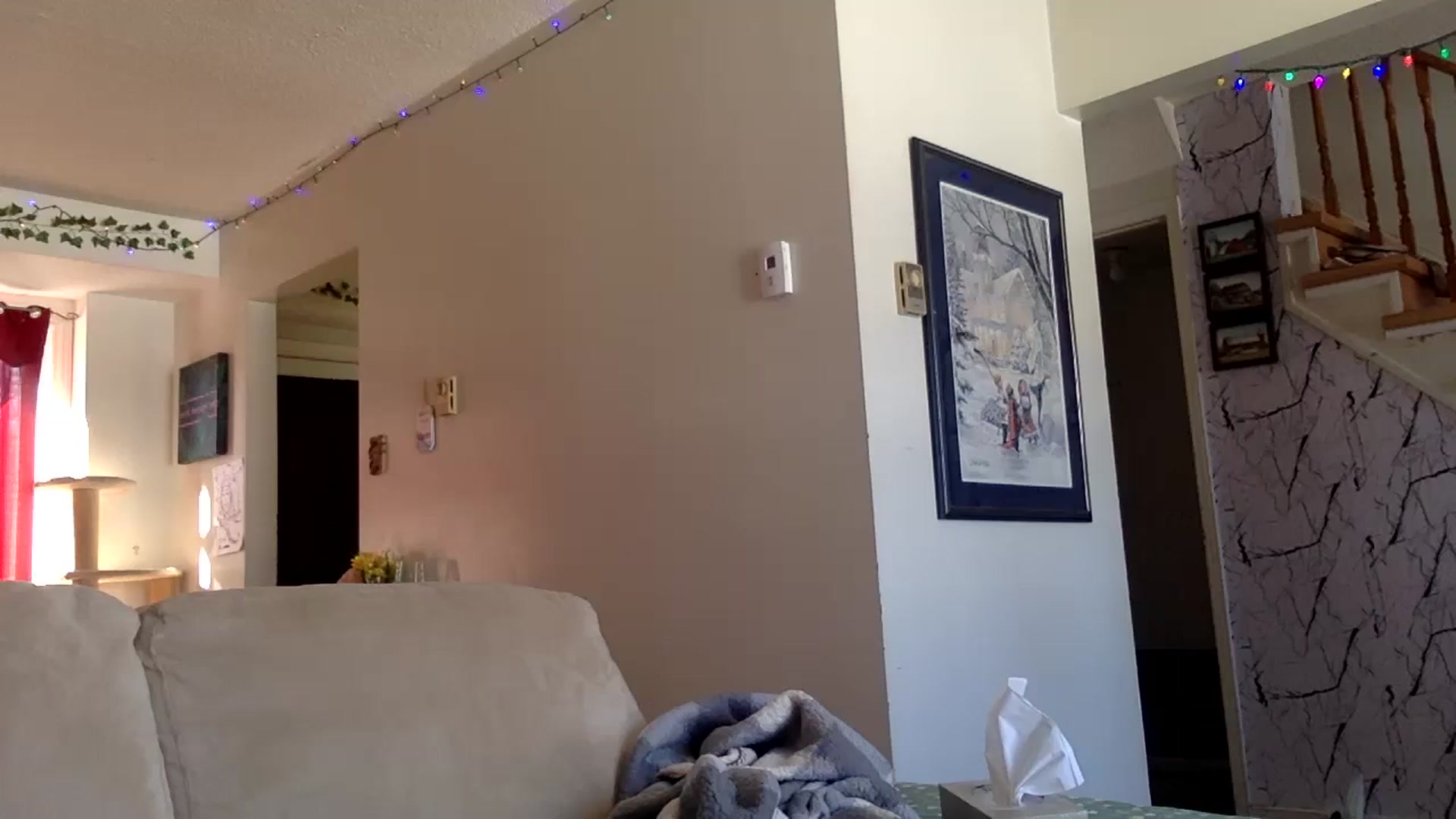 Gallery image thumbnail from DaniiAngel's myfreecams stream on, 02/20/2024, 20:24 image 4 of 20