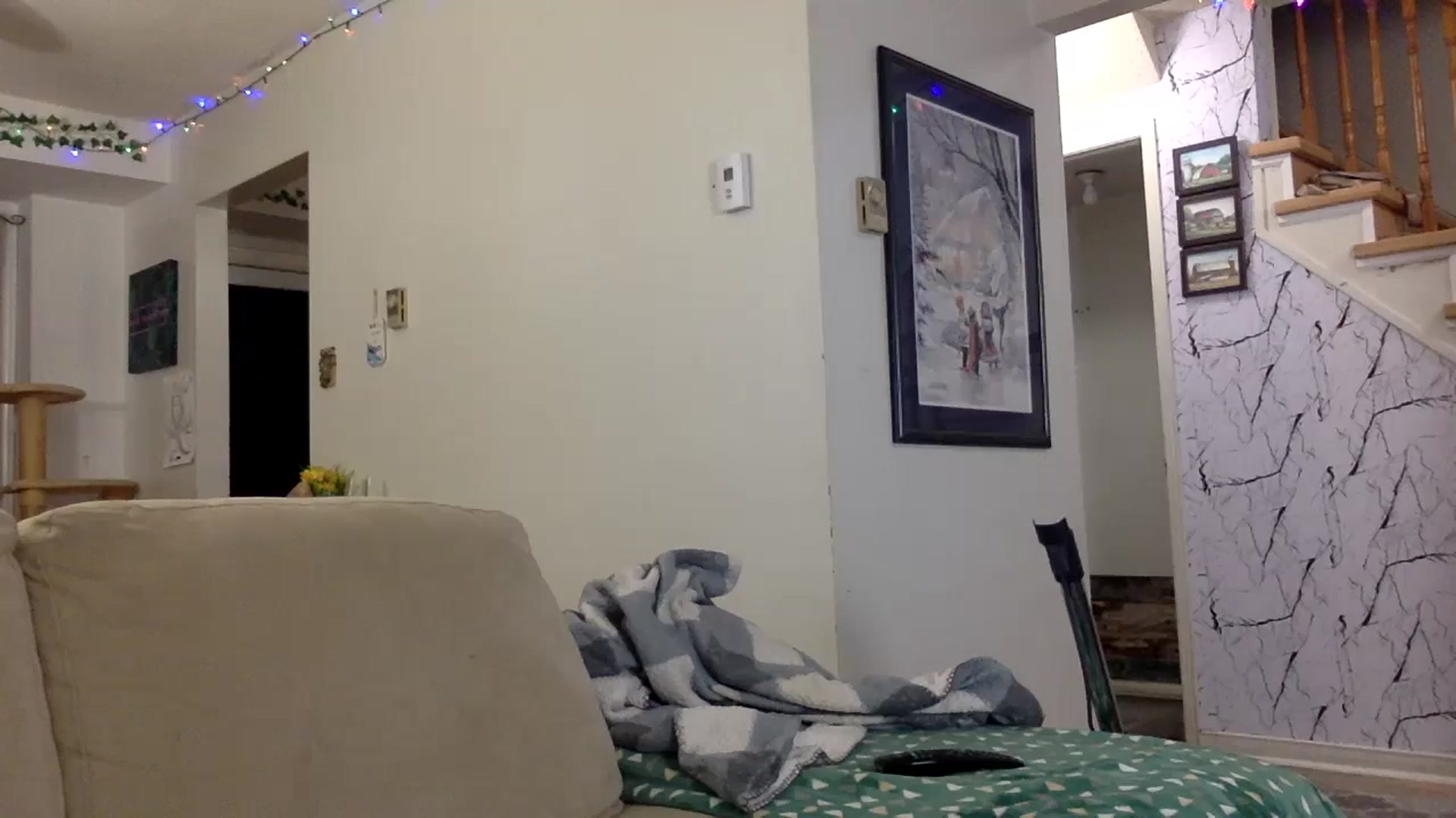 Gallery image thumbnail from DaniiAngel's myfreecams stream on, 02/21/2024, 02:27 image 12 of 20