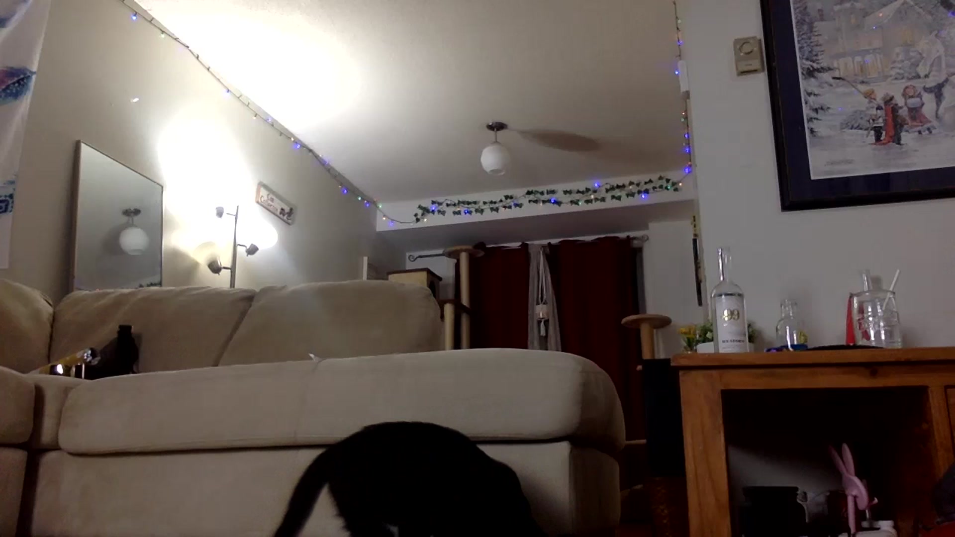 Gallery image thumbnail from DaniiAngel's myfreecams stream on, 03/06/2024, 03:46 image 20 of 20