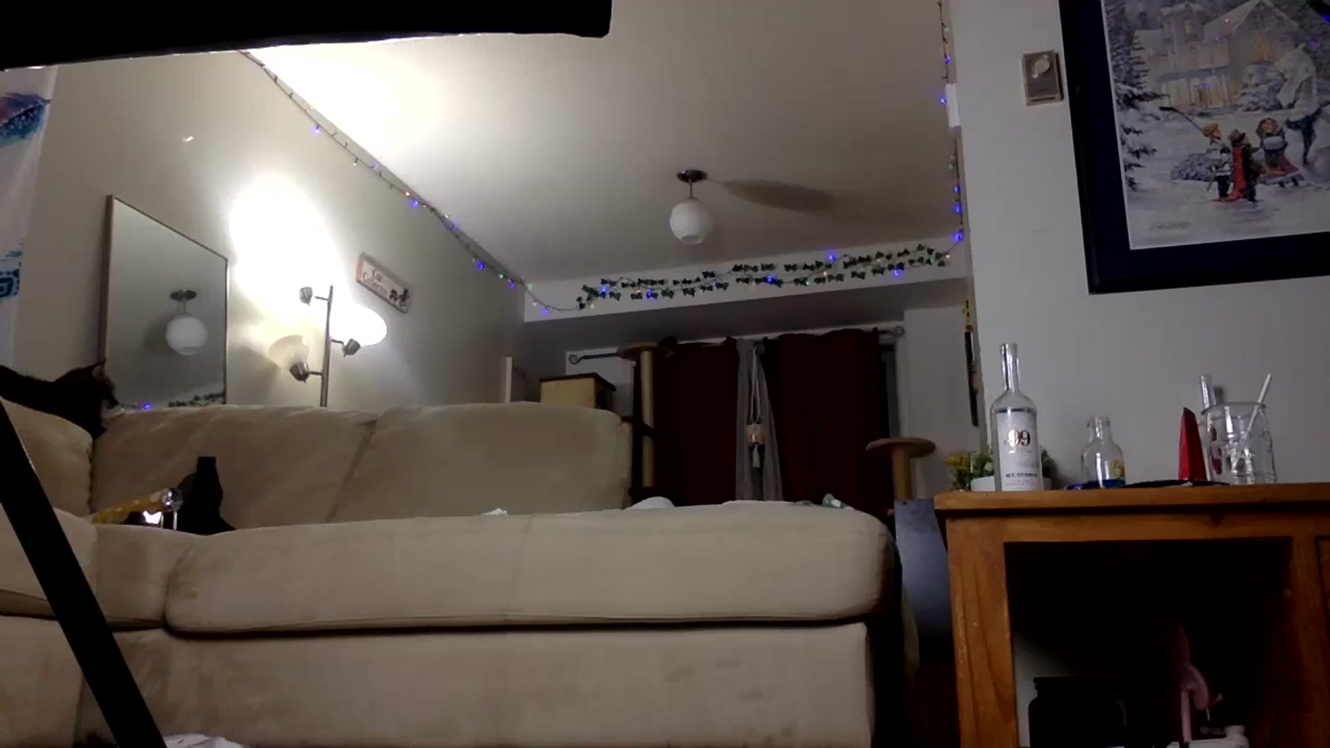 Gallery image thumbnail from DaniiAngel's myfreecams stream on, 03/06/2024, 03:46 image 12 of 20