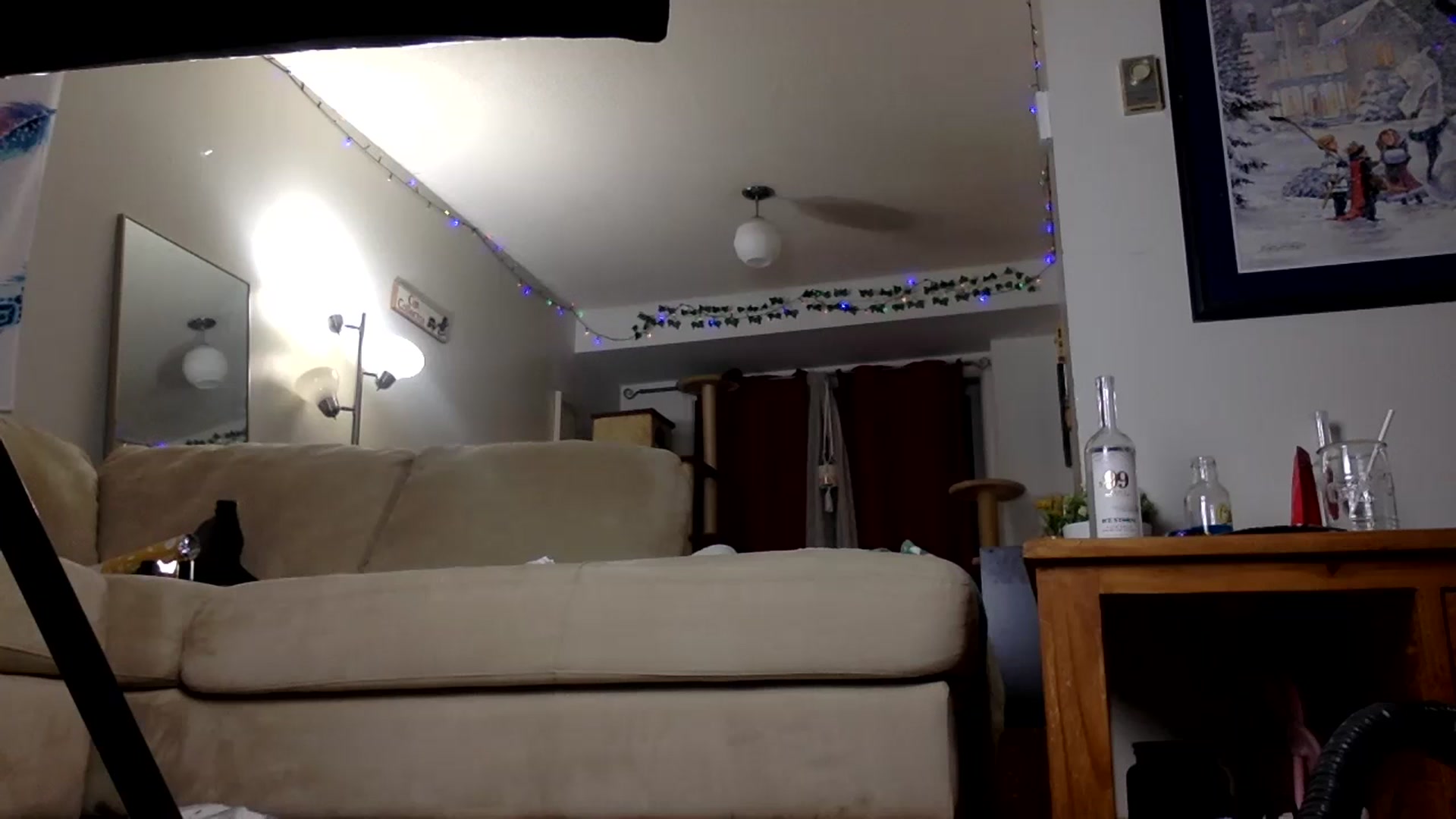 Gallery image thumbnail from DaniiAngel's myfreecams stream on, 03/06/2024, 03:46 image 14 of 20