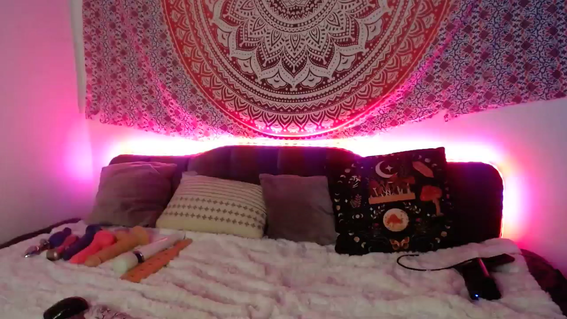 Gallery image thumbnail from Dankkittyx's myfreecams stream on, 10/03/2023, 08:40 image 18 of 20