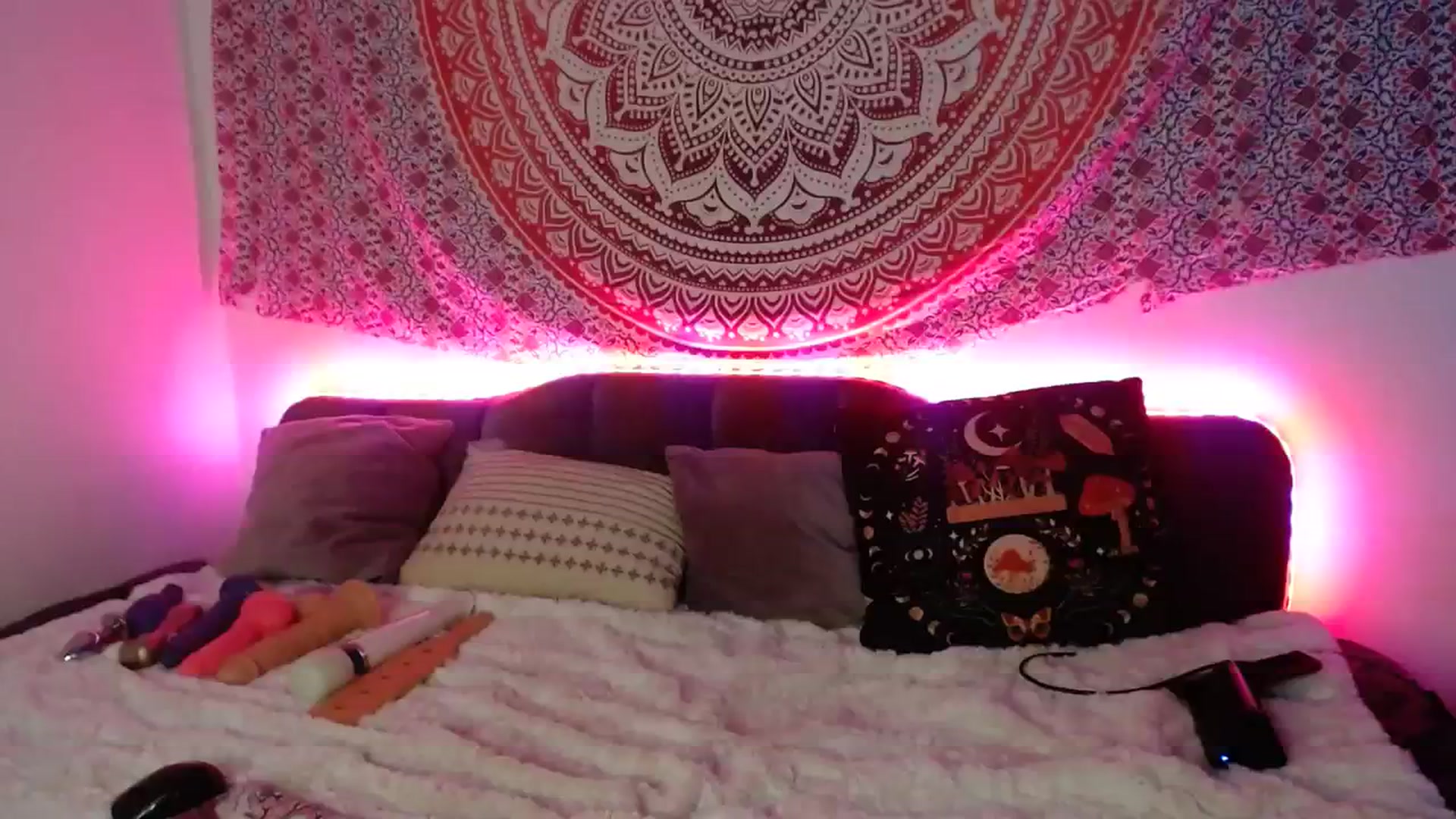 Gallery image thumbnail from Dankkittyx's myfreecams stream on, 10/03/2023, 08:40 image 20 of 20