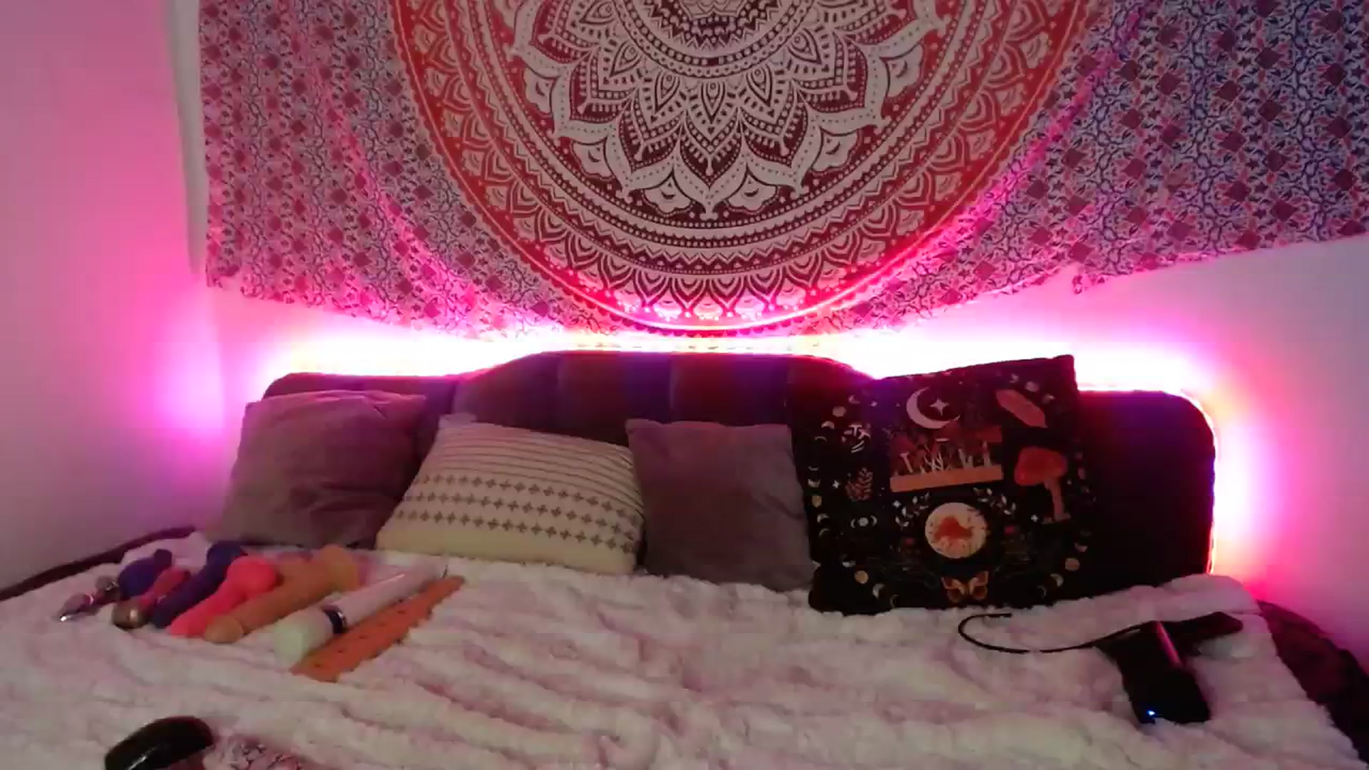 Gallery image thumbnail from Dankkittyx's myfreecams stream on, 10/03/2023, 08:40 image 19 of 20