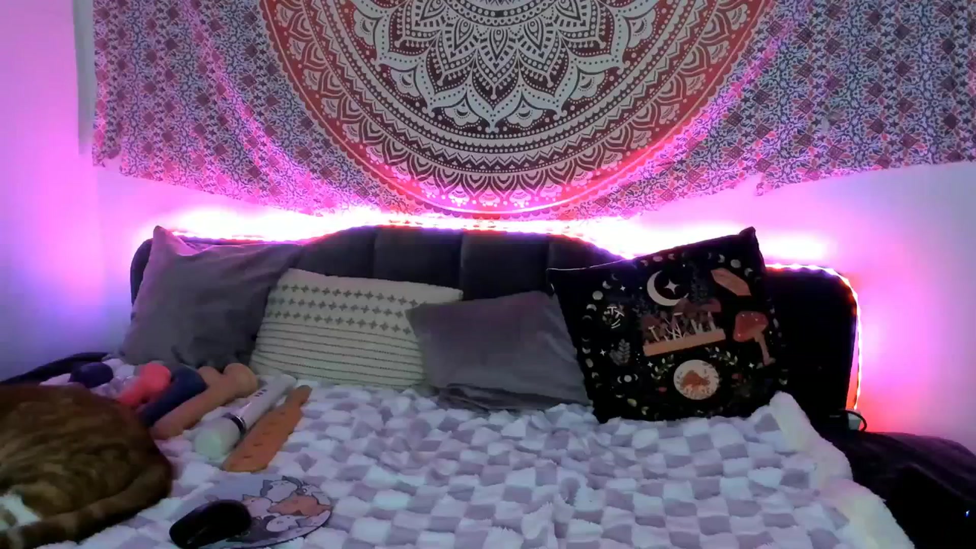 Gallery image thumbnail from Dankkittyx's myfreecams stream on, 10/22/2023, 09:05 image 3 of 20