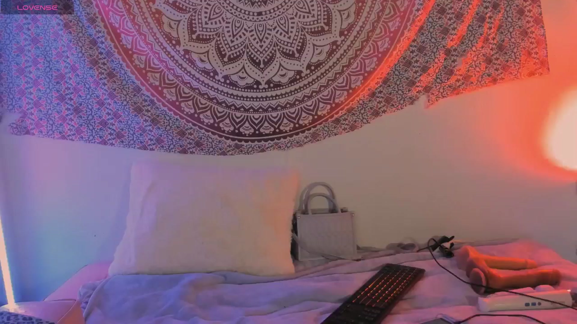 Gallery image thumbnail from Dankkittyx's myfreecams stream on, 12/28/2025, 10:46 image 4 of 20