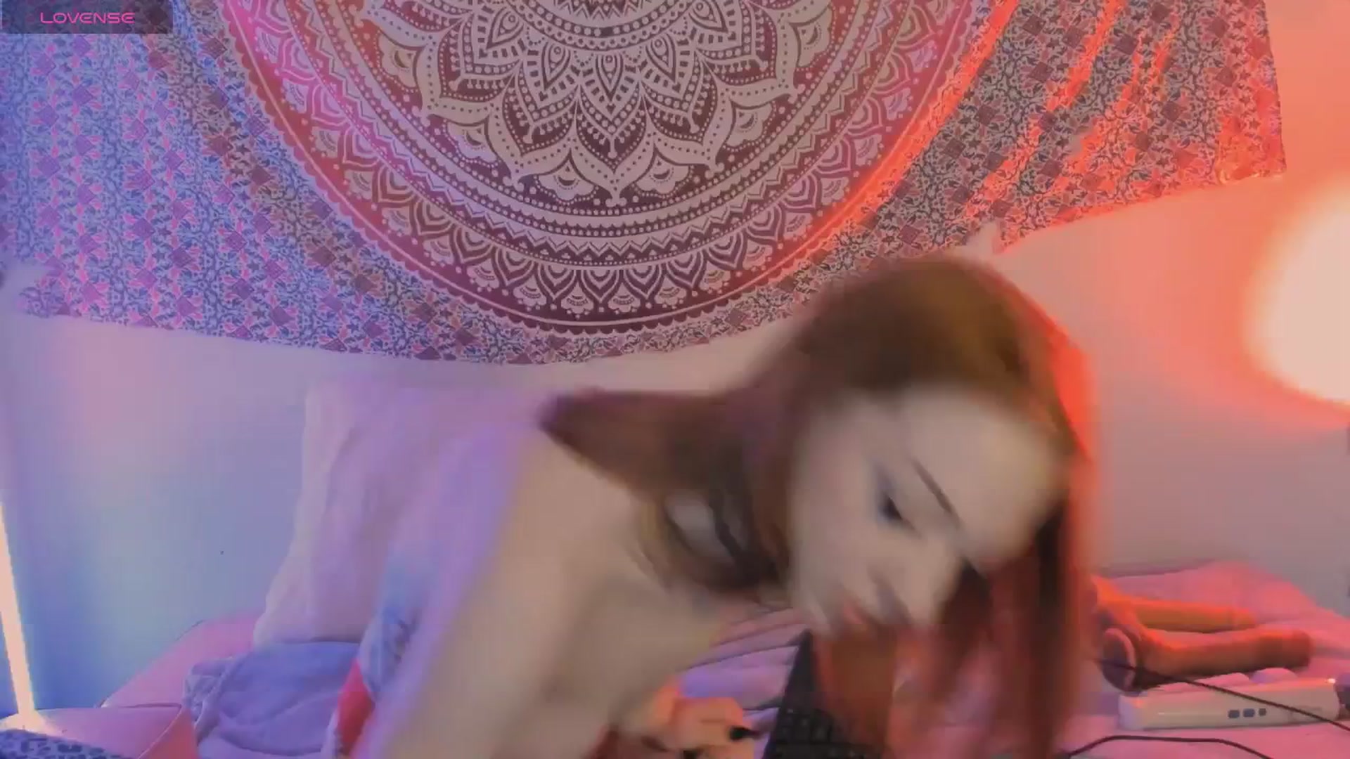 Gallery image thumbnail from Dankkittyx's myfreecams stream on, 12/28/2025, 10:46 image 3 of 20