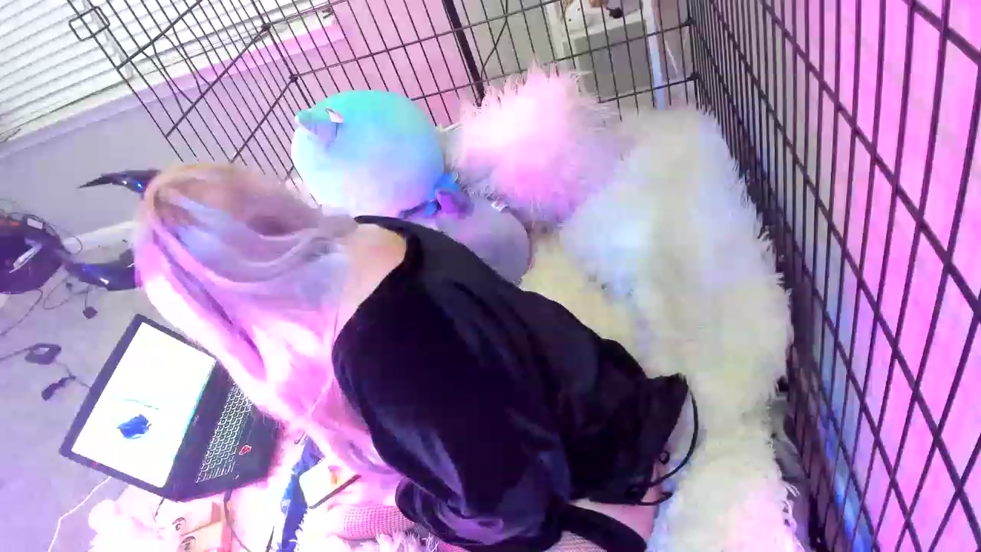Gallery image thumbnail from DarcyNycole's myfreecams stream on, 06/23/2023, 07:28 image 7 of 20