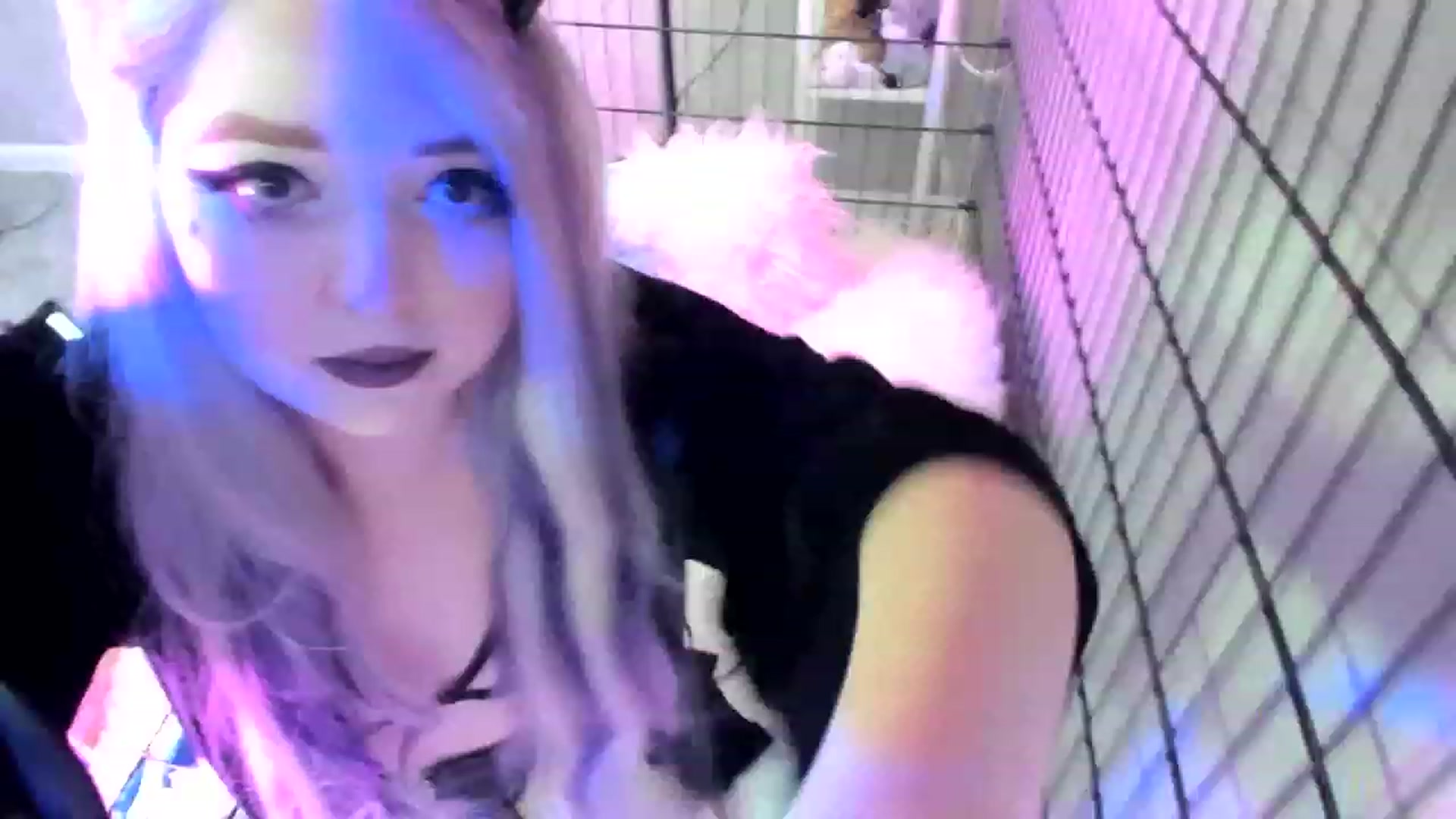 Gallery image thumbnail from DarcyNycole's myfreecams stream on, 06/23/2023, 07:28 image 12 of 20