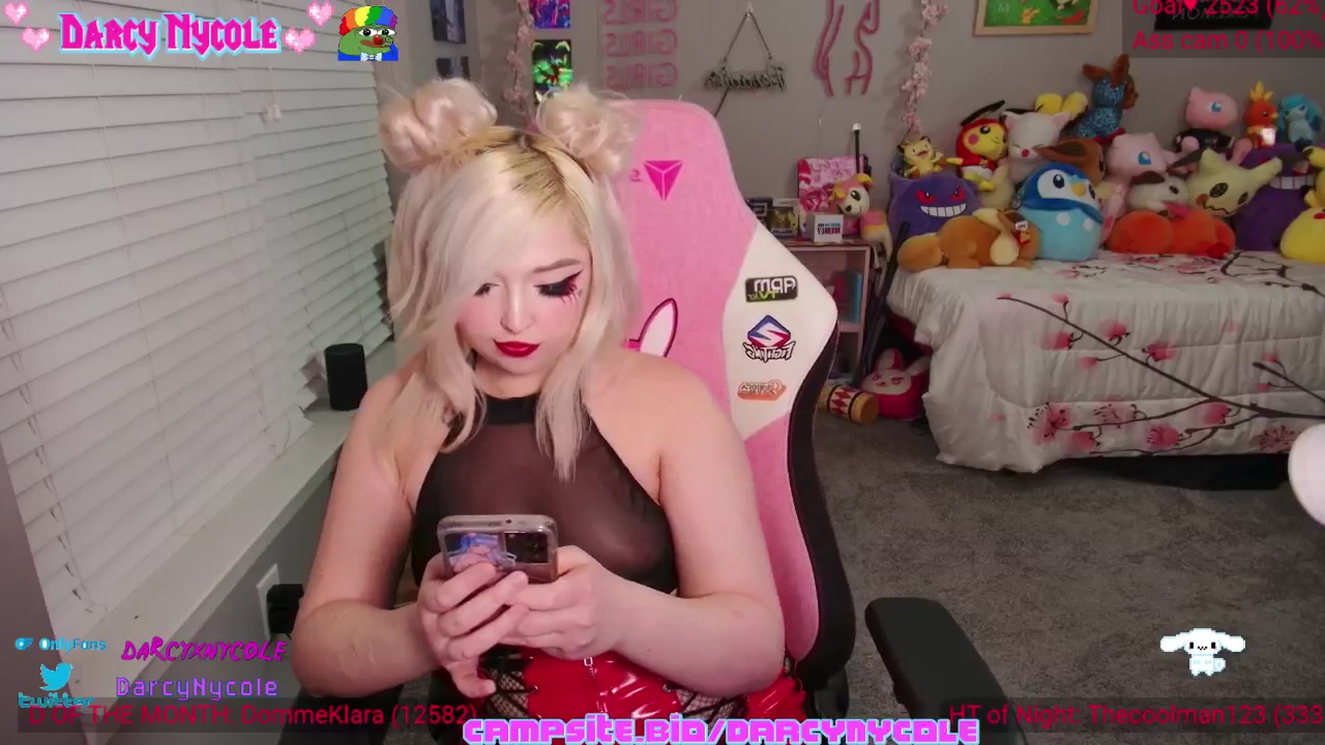 Gallery image thumbnail from DarcyNycole's myfreecams stream on, 05/27/2024, 06:03 image 14 of 20