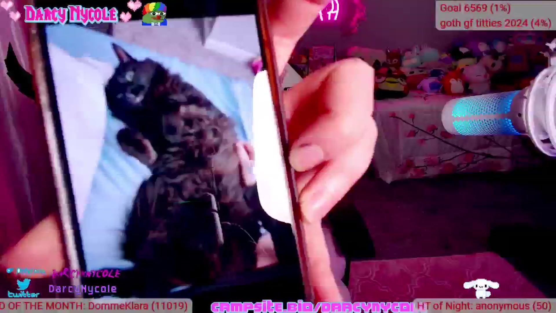 Gallery image thumbnail from DarcyNycole's myfreecams stream on, 09/27/2024, 10:39 image 19 of 20