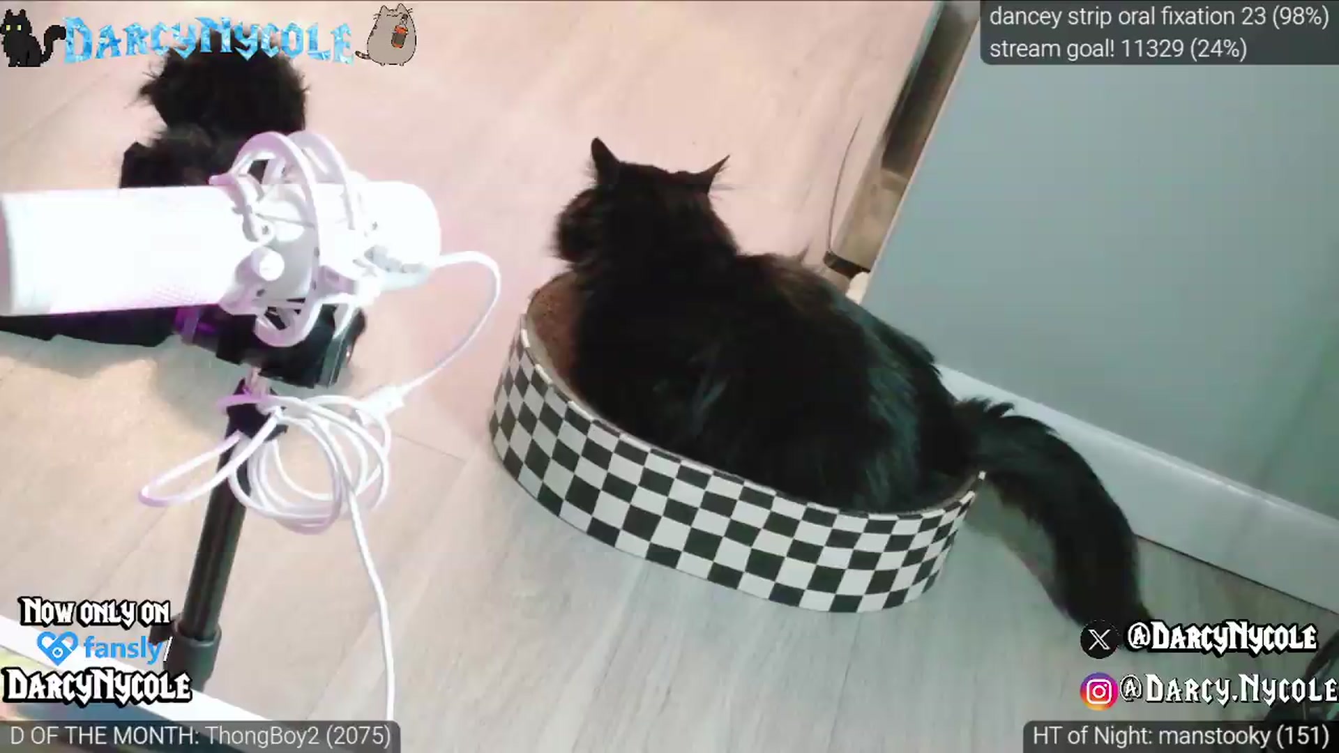 Gallery image thumbnail from DarcyNycole's myfreecams stream on, 07/07/2026, 07:54 image 7 of 20