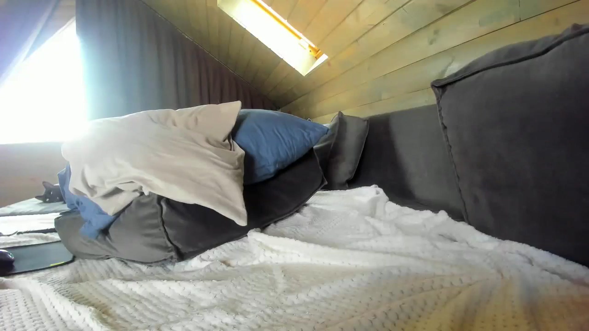 Gallery image thumbnail from Dark_Birthday's myfreecams stream on, 06/25/2024, 10:31 image 12 of 20