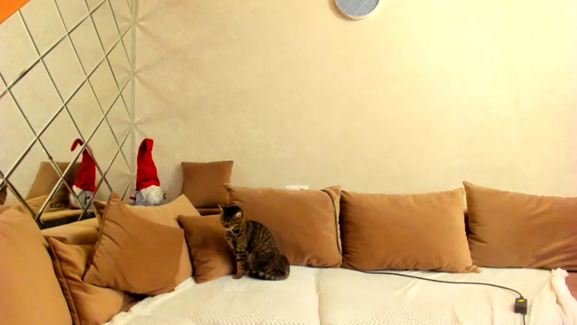 Gallery image thumbnail from Dark_Lady_'s myfreecams stream on, 01/12/2023, 06:57 image 20 of 20