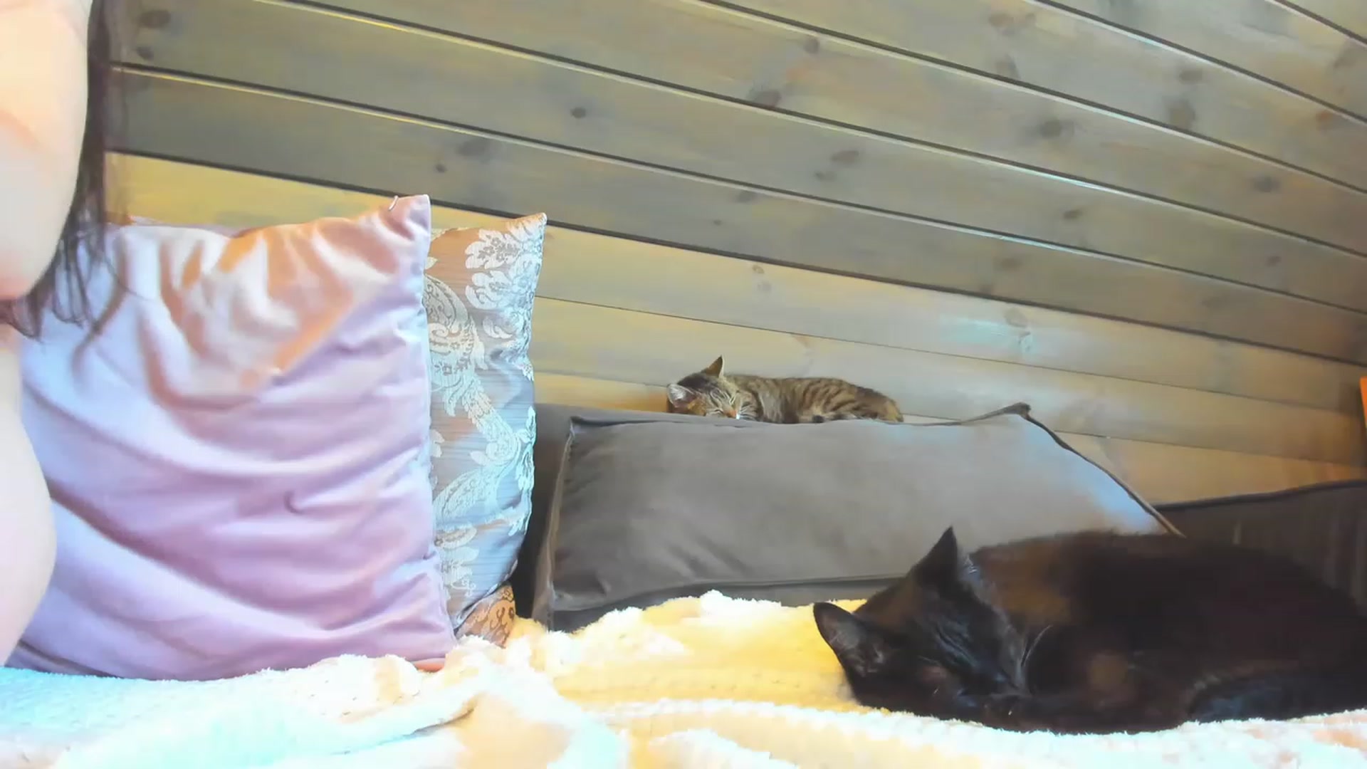Gallery image thumbnail from Dark_Lady_'s myfreecams stream on, 05/07/2023, 07:21 image 19 of 20