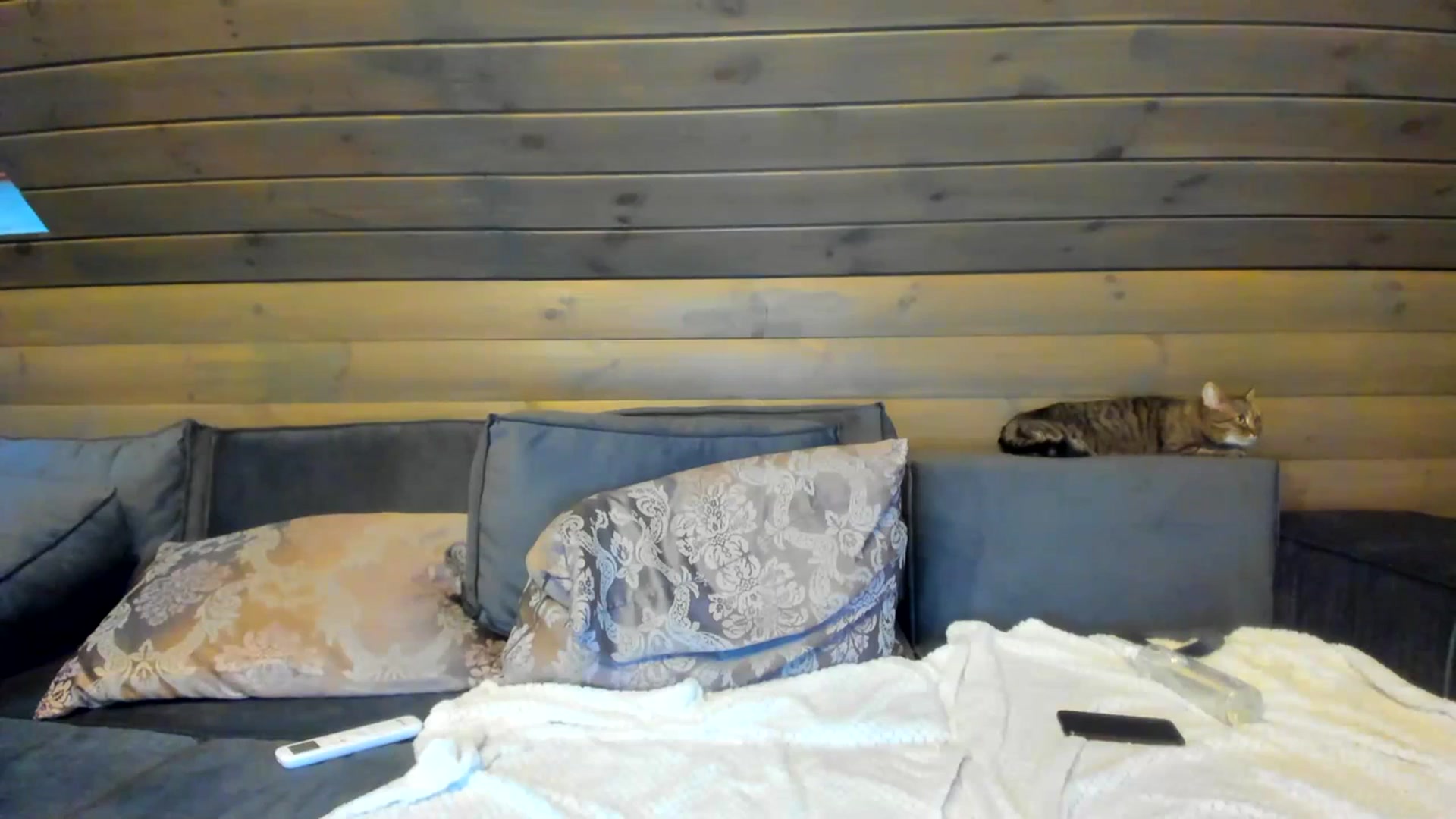 Gallery image thumbnail from Dark_Lady_'s myfreecams stream on, 07/17/2023, 06:10 image 5 of 20