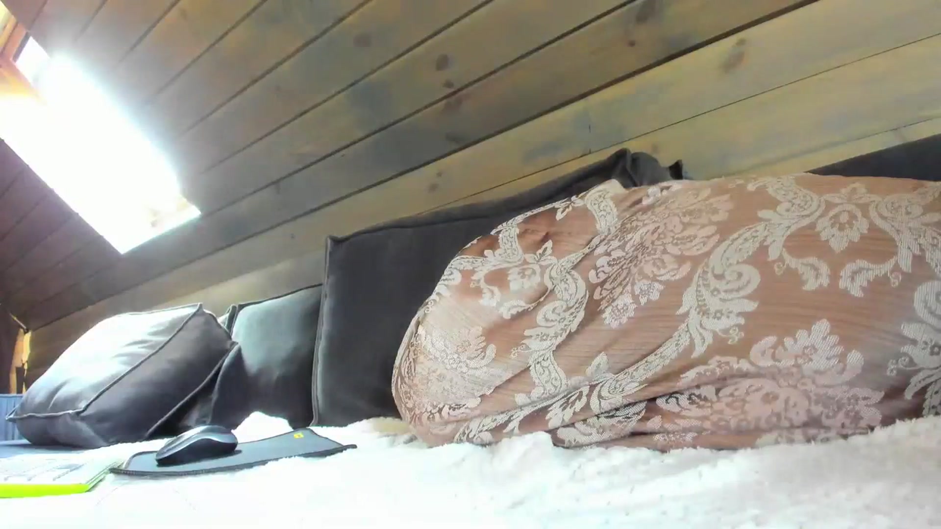 Gallery image thumbnail from Dark_Lady_'s myfreecams stream on, 08/30/2023, 05:39 image 19 of 20
