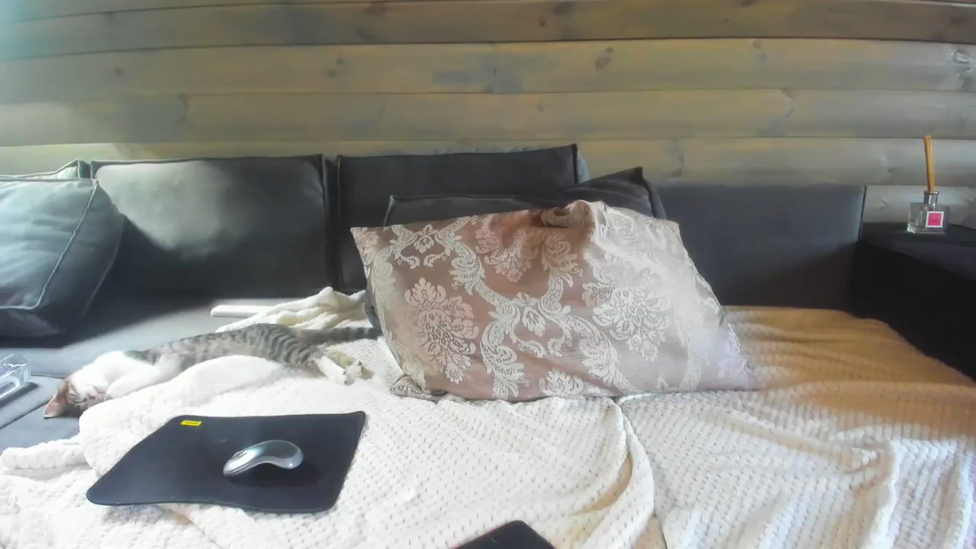 Gallery image thumbnail from Dark_Lady_'s myfreecams stream on, 09/03/2023, 07:41 image 8 of 20