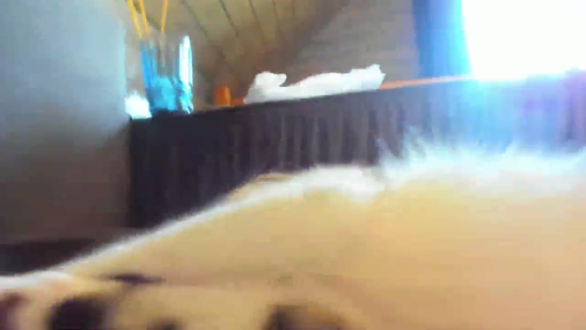 Gallery image thumbnail from Dark_Lady_'s myfreecams stream on, 09/20/2023, 07:58 image 20 of 20
