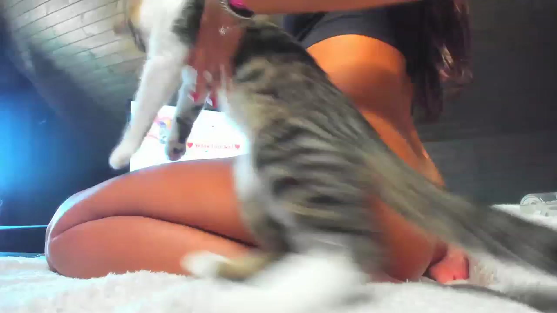 Gallery image thumbnail from Dark_Lady_'s myfreecams stream on, 09/26/2023, 11:20 image 1 of 20