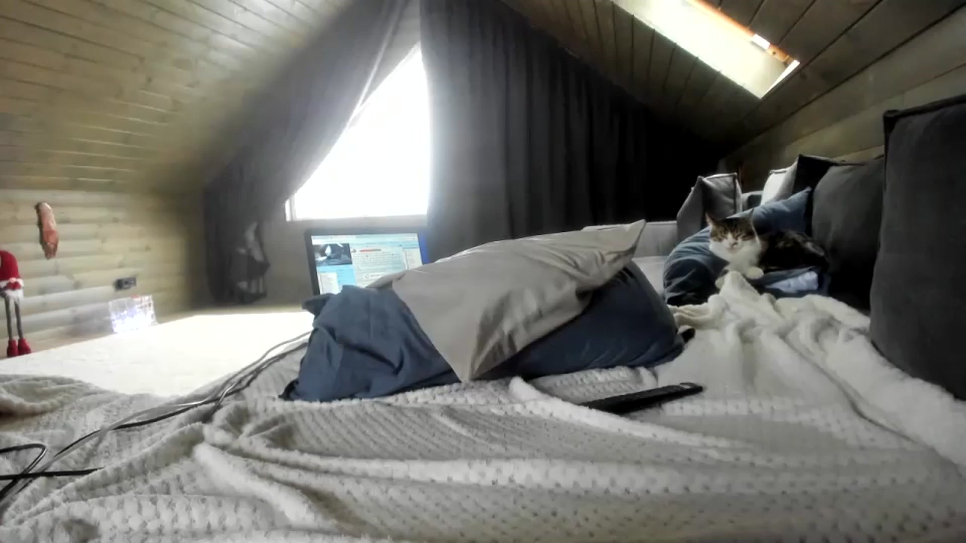 Gallery image thumbnail from Dark_Lady_'s myfreecams stream on, 11/23/2023, 12:46 image 3 of 20