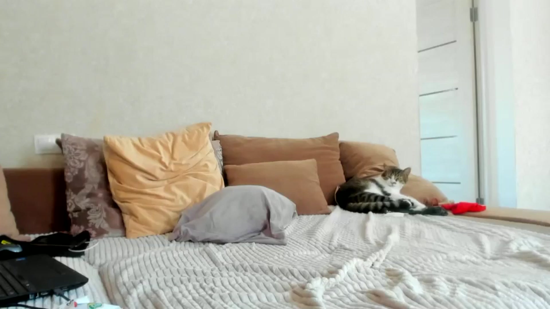 Gallery image thumbnail from Dark_Lady_'s myfreecams stream on, 07/08/2024, 10:11 image 7 of 20