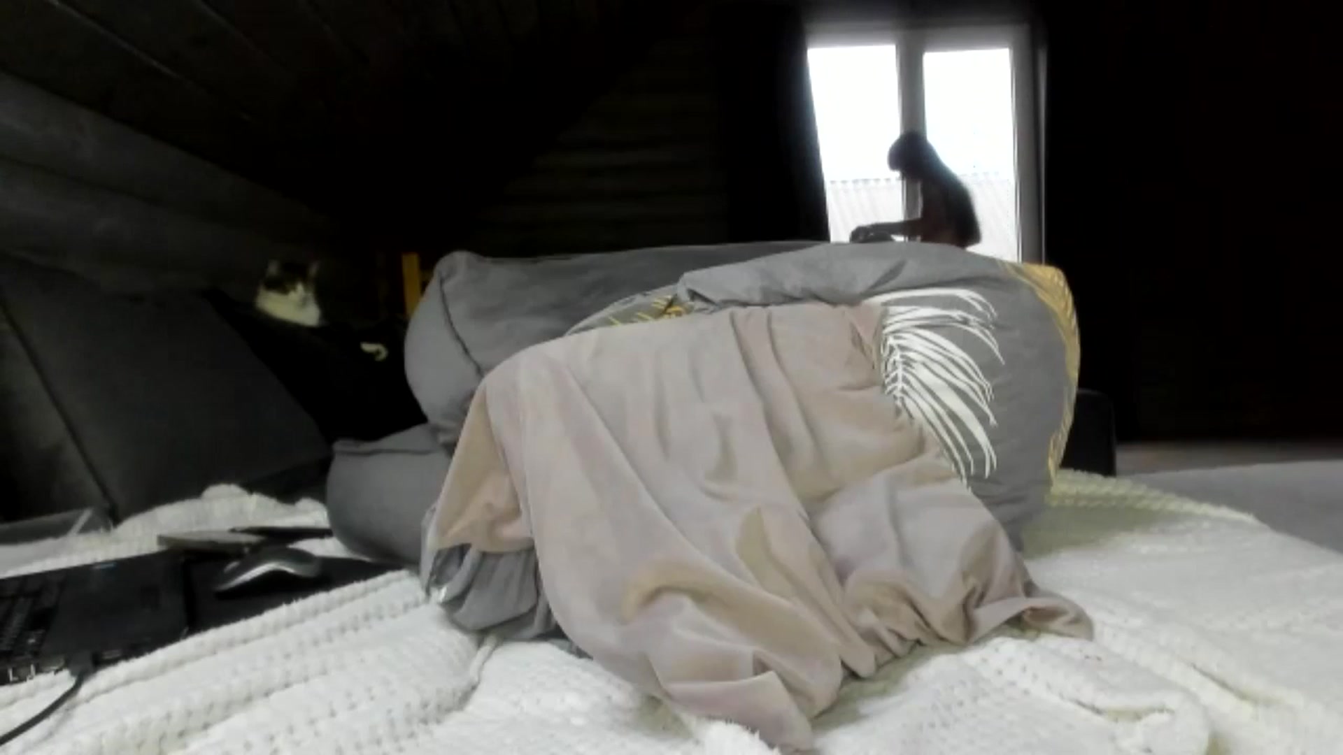 Gallery image thumbnail from Dark_Lady_'s myfreecams stream on, 11/14/2024, 14:31 image 2 of 20