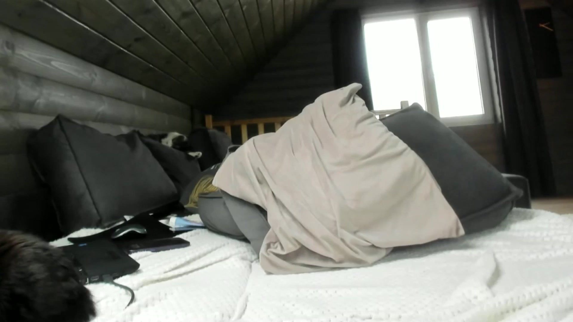 Gallery image thumbnail from Dark_Lady_'s myfreecams stream on, 11/26/2024, 12:35 image 16 of 20