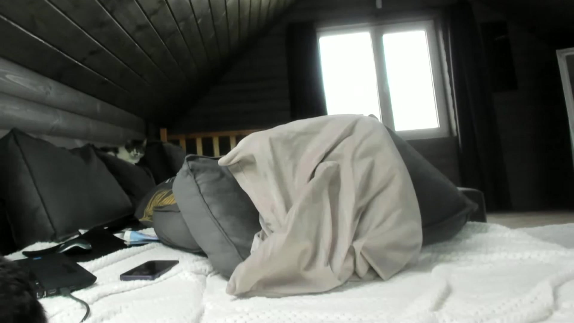 Gallery image thumbnail from Dark_Lady_'s myfreecams stream on, 11/26/2024, 12:35 image 13 of 20