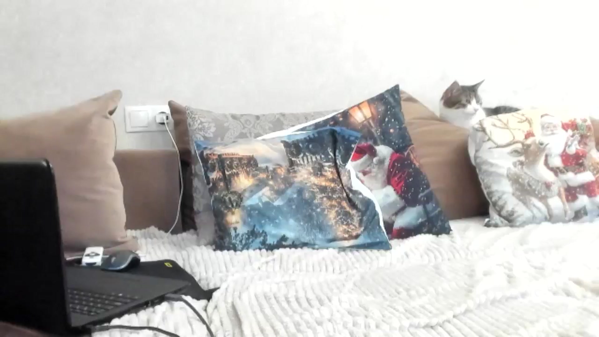 Gallery image thumbnail from Dark_Lady_'s myfreecams stream on, 12/18/2024, 13:29 image 14 of 20