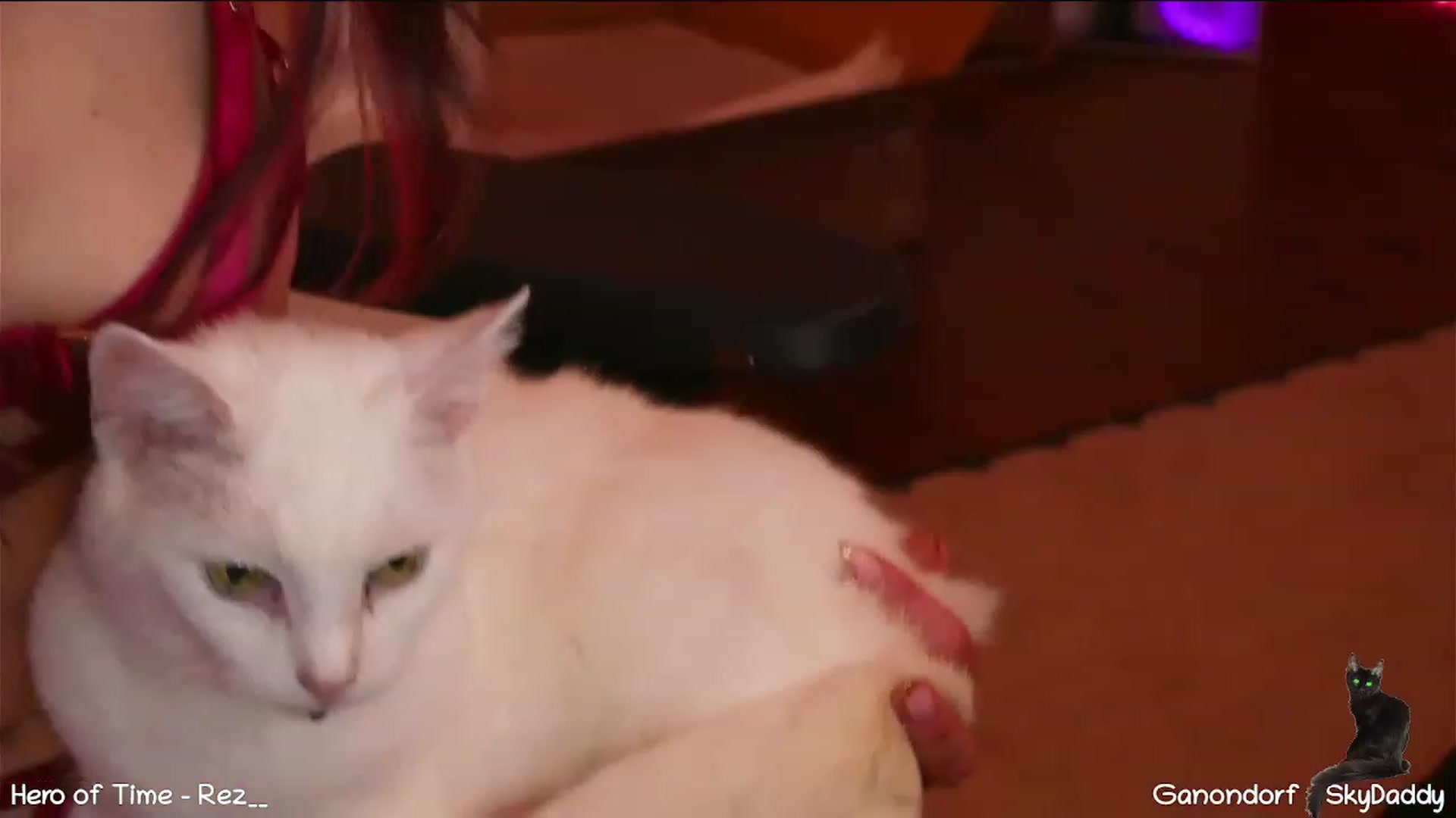 Gallery image thumbnail from Dashy's myfreecams stream on, 01/01/2023, 13:22 image 20 of 20