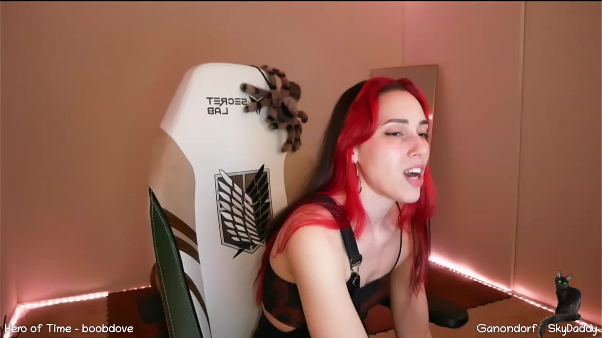 Gallery image thumbnail from Dashy's myfreecams stream on, 02/09/2023, 14:23 image 4 of 20