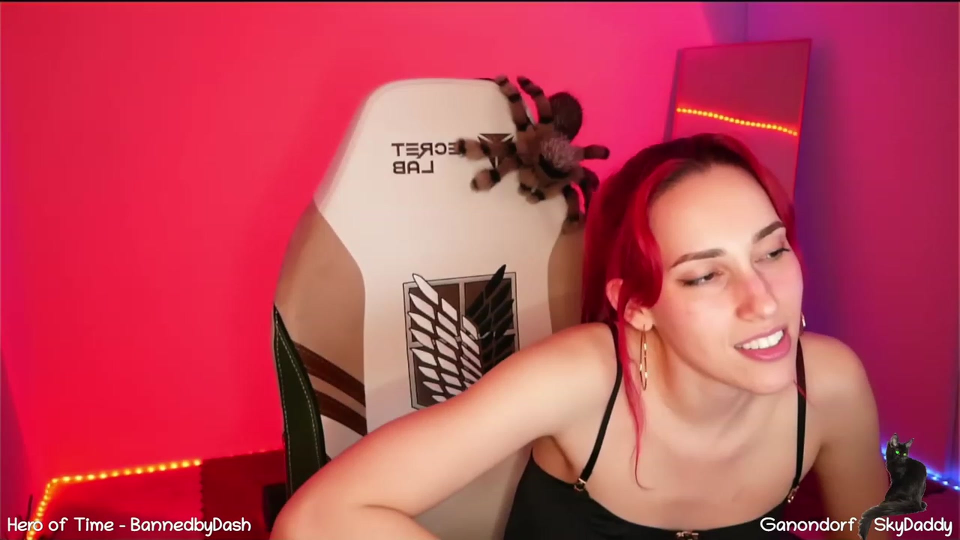 Gallery image thumbnail from Dashy's myfreecams stream on, 02/10/2023, 08:53 image 5 of 20