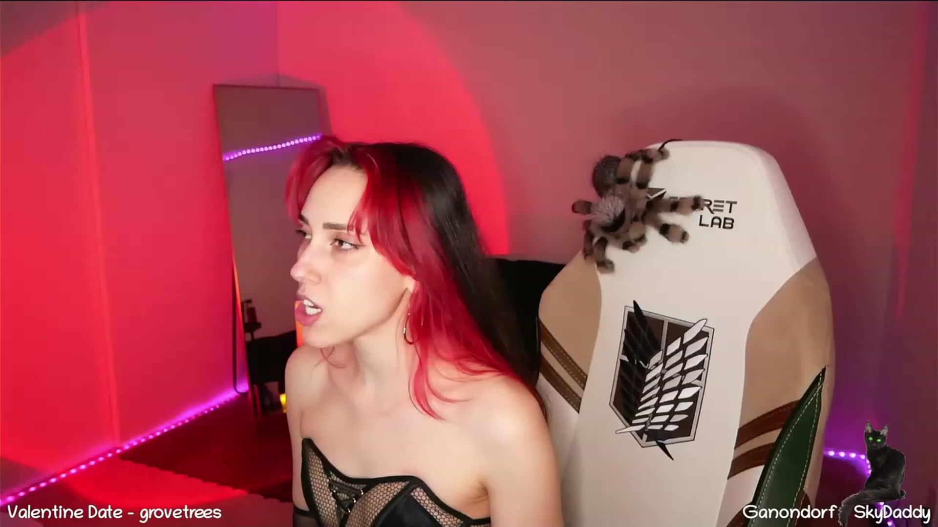 Gallery image thumbnail from Dashy's myfreecams stream on, 02/15/2023, 13:14 image 3 of 20