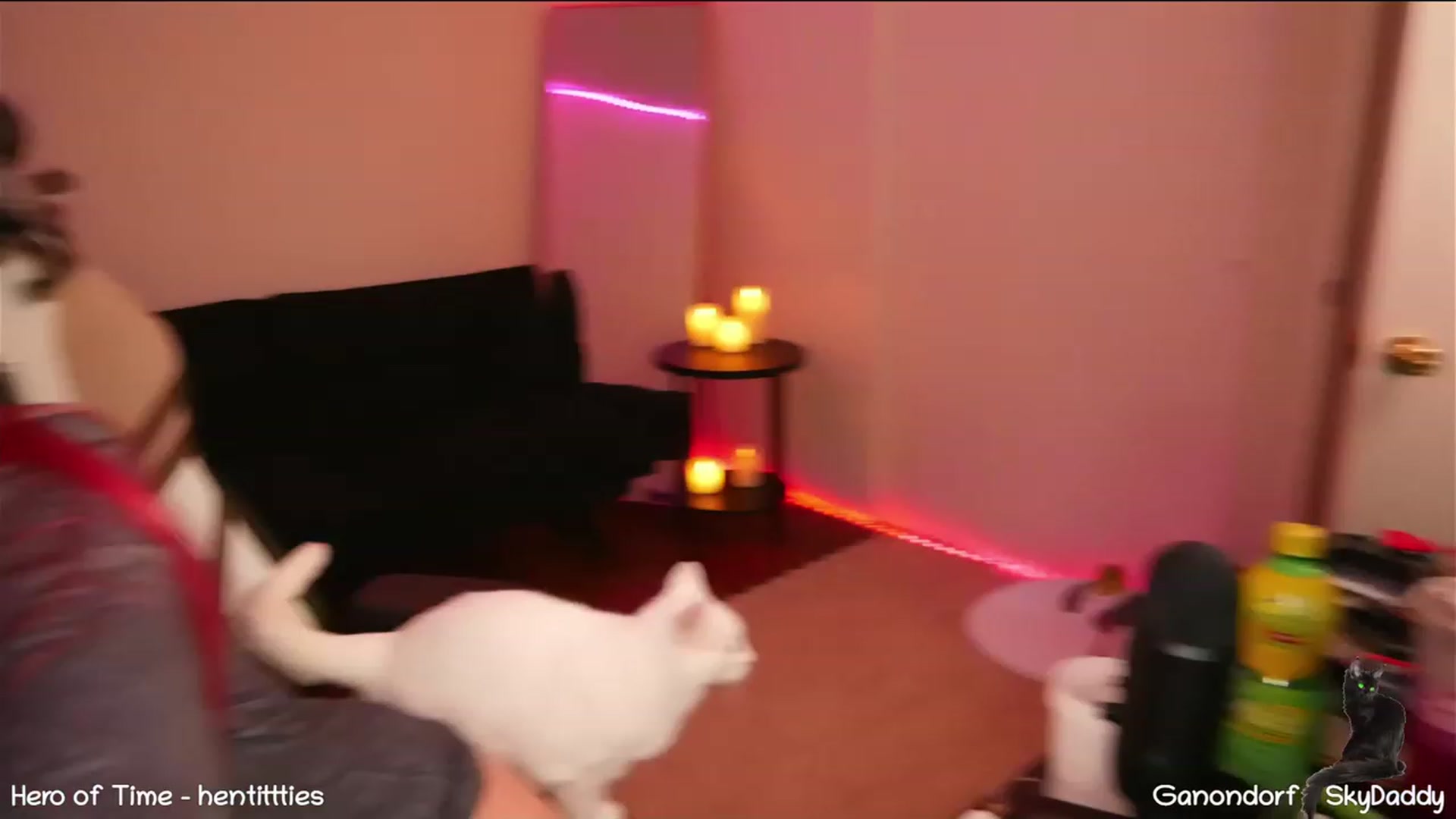 Gallery image thumbnail from Dashy's myfreecams stream on, 02/24/2023, 11:47 image 2 of 20