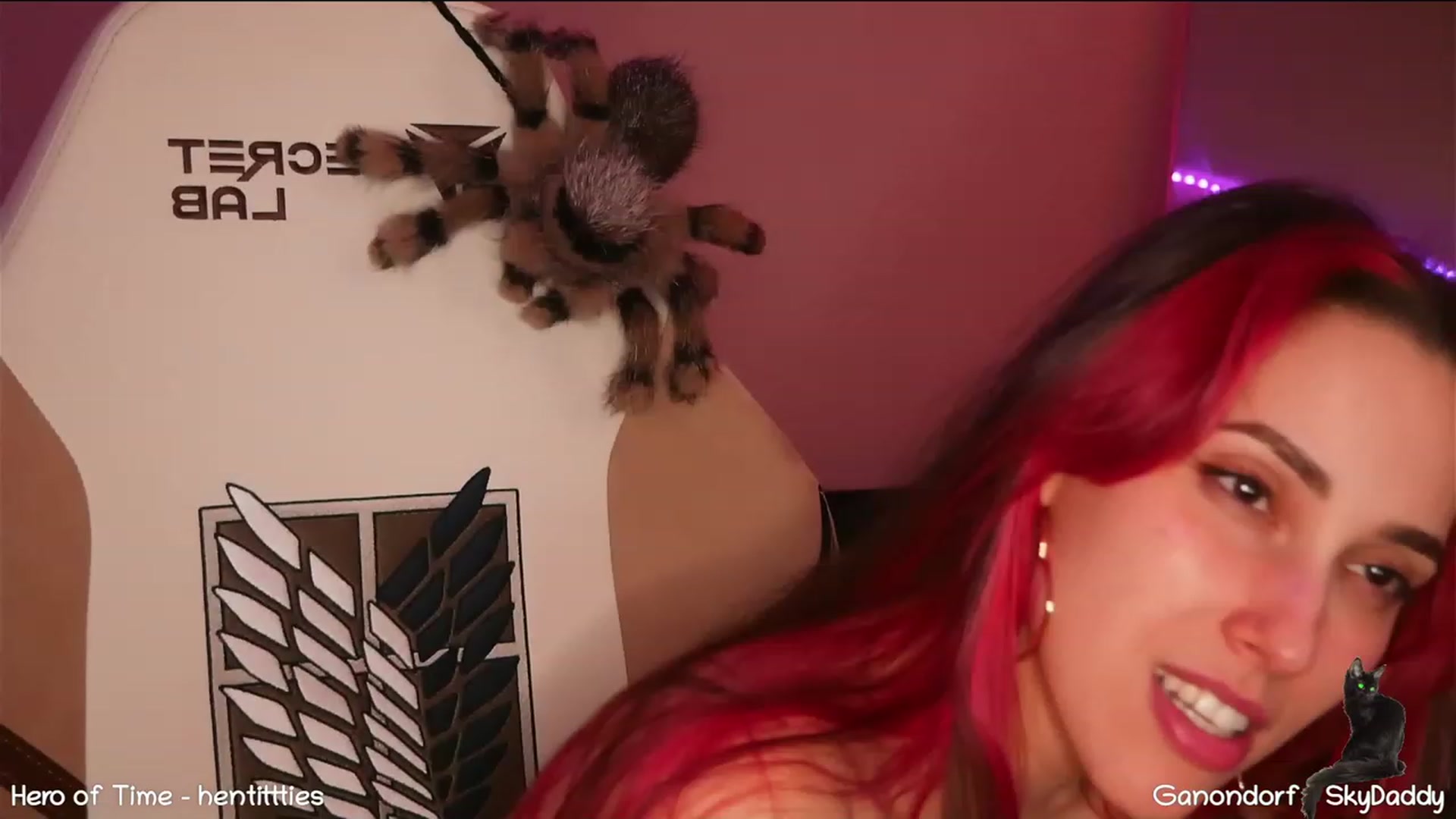 Gallery image thumbnail from Dashy's myfreecams stream on, 02/24/2023, 12:58 image 17 of 20