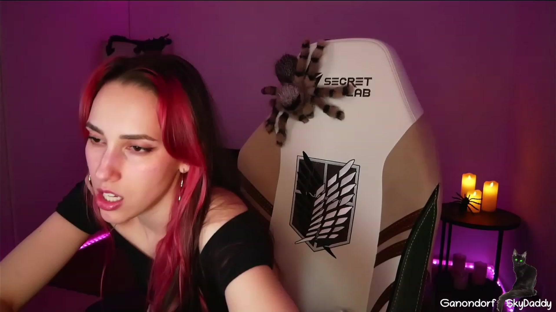 Gallery image thumbnail from Dashy's myfreecams stream on, 03/25/2023, 07:19 image 18 of 20