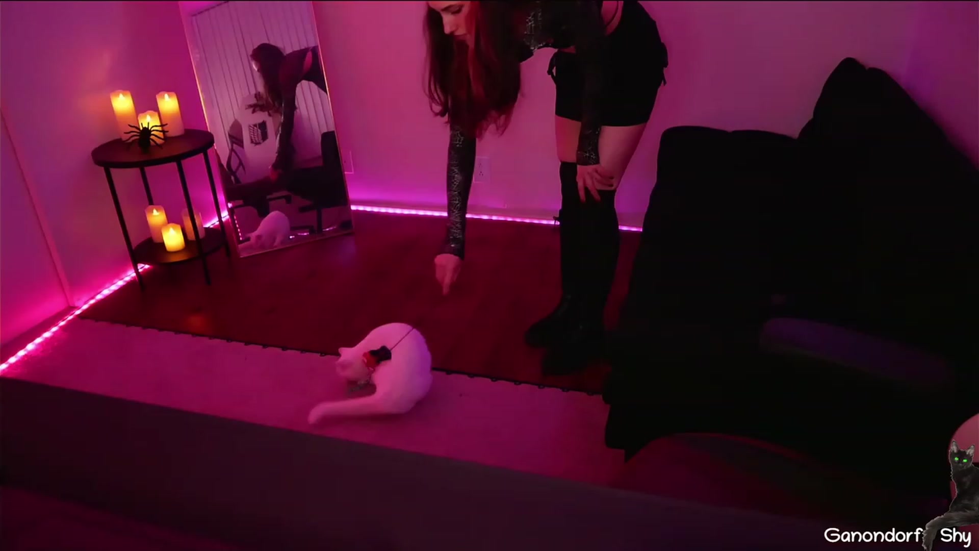 Gallery image thumbnail from Dashy's myfreecams stream on, 03/26/2023, 07:18 image 7 of 20