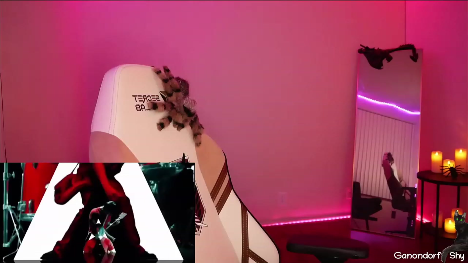 Gallery image thumbnail from Dashy's myfreecams stream on, 03/26/2023, 11:17 image 18 of 20