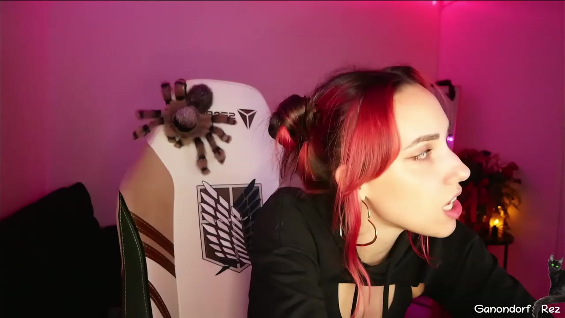 Gallery image thumbnail from Dashy's myfreecams stream on, 03/28/2023, 09:00 image 9 of 20