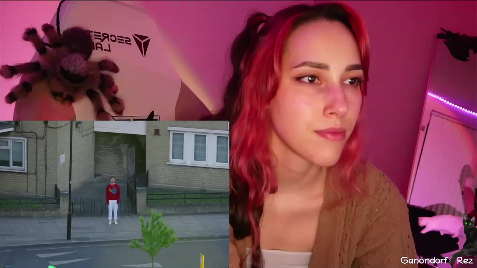 Gallery image thumbnail from Dashy's myfreecams stream on, 03/29/2023, 08:57 image 20 of 20