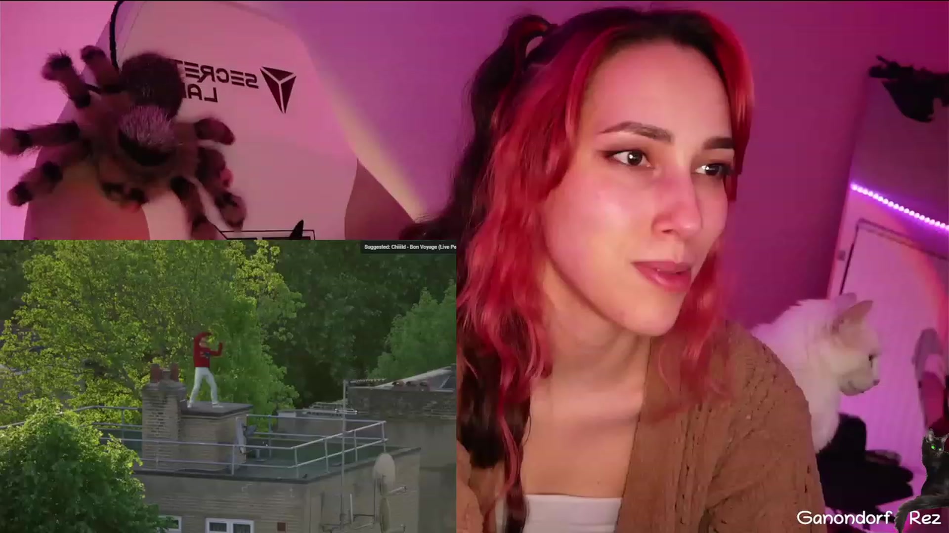 Gallery image thumbnail from Dashy's myfreecams stream on, 03/29/2023, 08:57 image 19 of 20